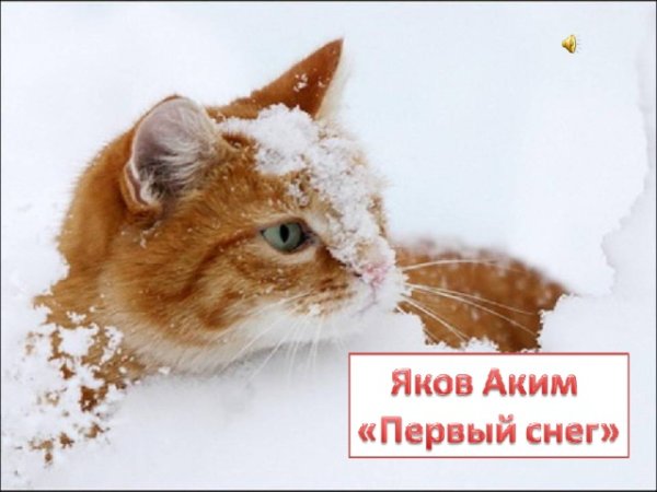 Аким первый снег