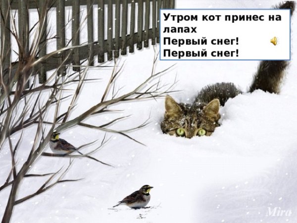 Утром кот принес на лапах