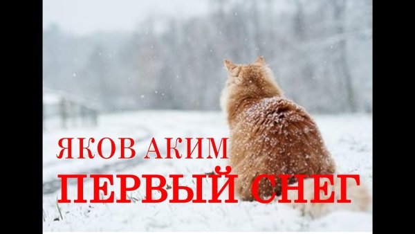 Аким первый снег стихотворение