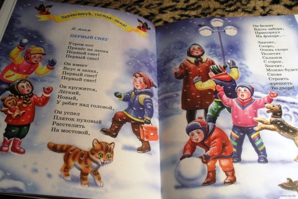 Стихотворение я акима первый снег