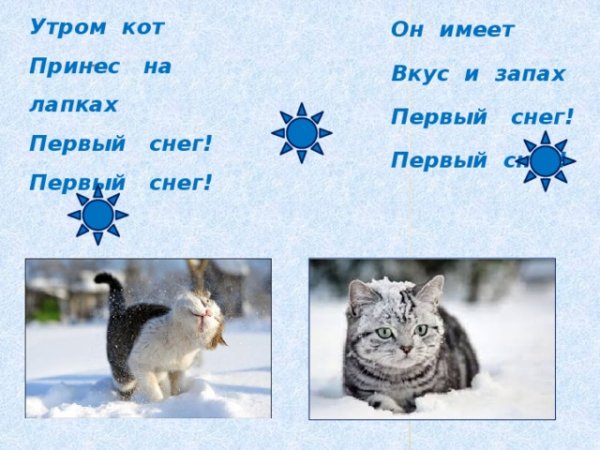 Кот принес на лапах первый снег стих