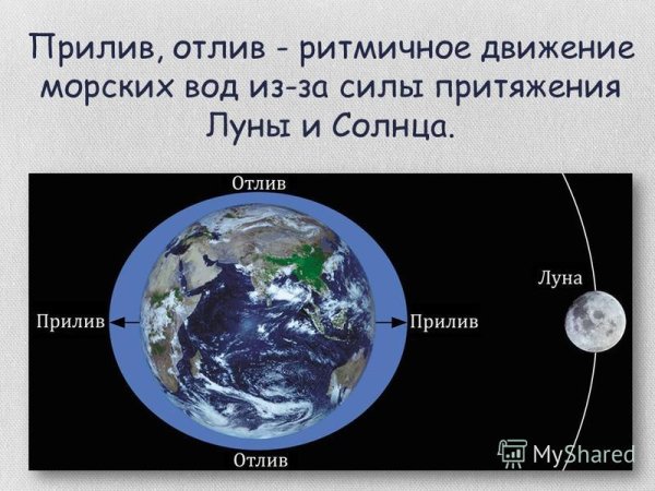 Луна приливы и отливы на земле