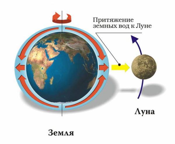 Земля Луна отлив прилив схема