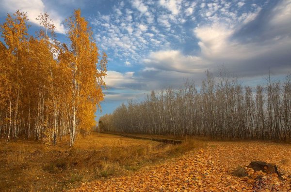 Осенняя природа унылая