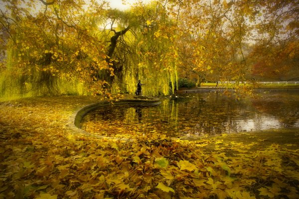 Унылая осень картина