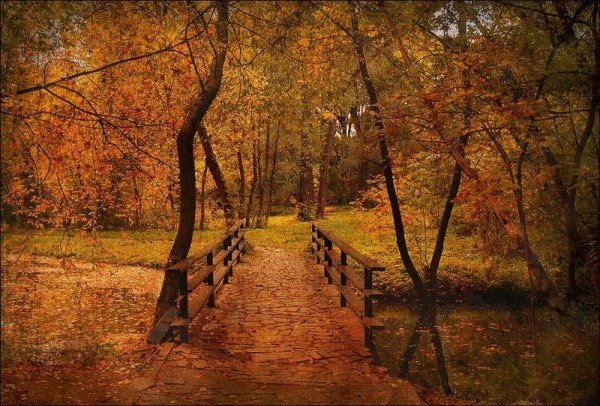 Осень уныло