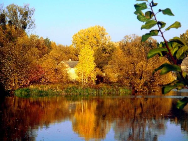 Осенняя пора