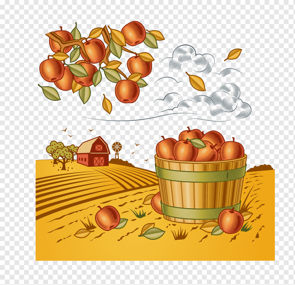 Осенний урожай рисунок