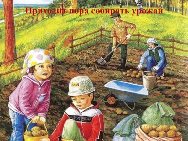 Люди на огороде осенью