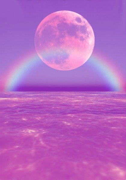 Фиолетовая Радуга