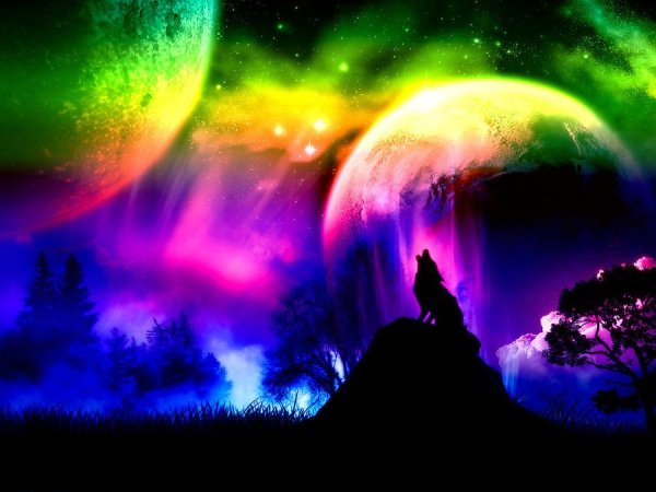 Волки Радуга природа арт