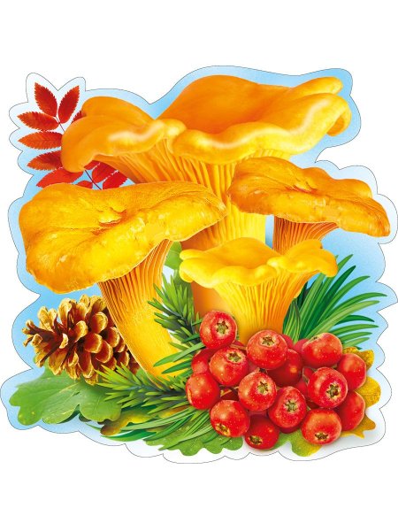 Грибы для детского сада