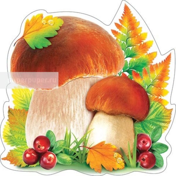 Грибы украшение на скотче