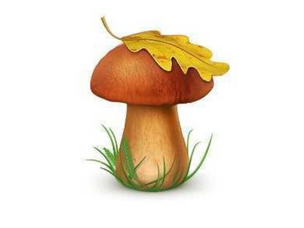 Осенние грибы для детей