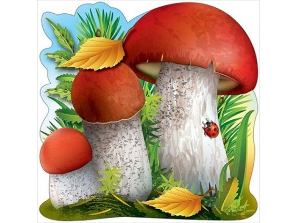 «Грибы для белки» (Комарова, с.36)