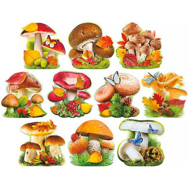 Грибы для детского сада