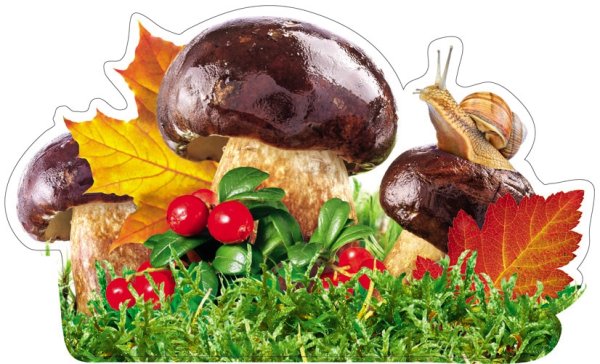 Грибы для праздника осени