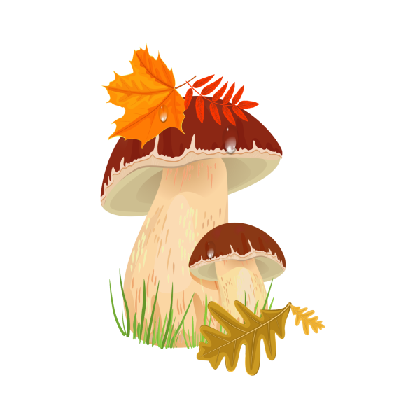 Осенние грибы для детей