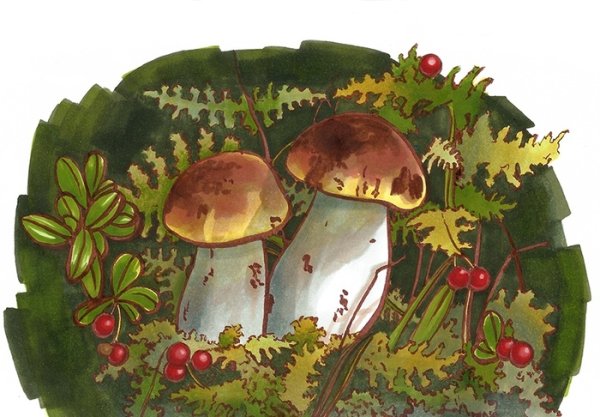 Осенние грибы для детей