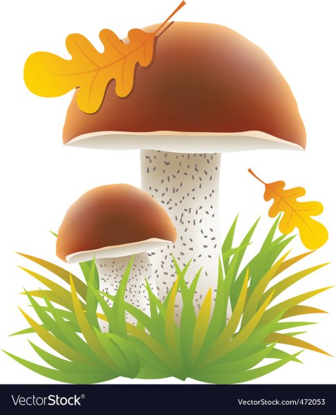 Грибок дошкольники