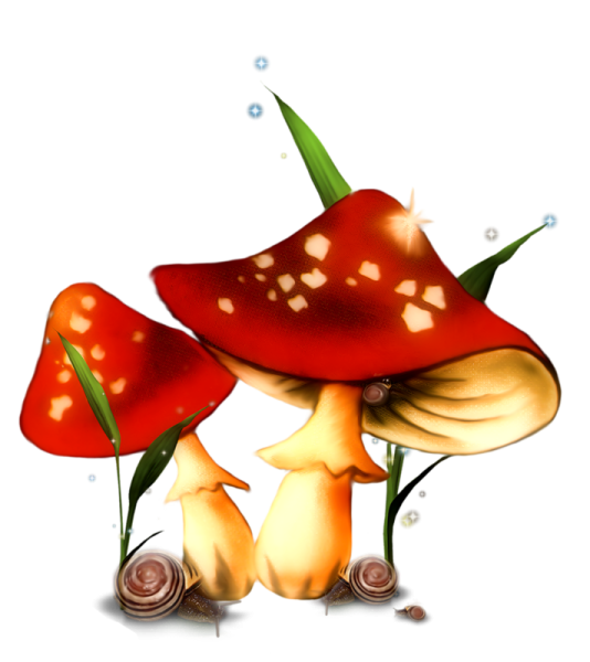 Сказочные грибочки