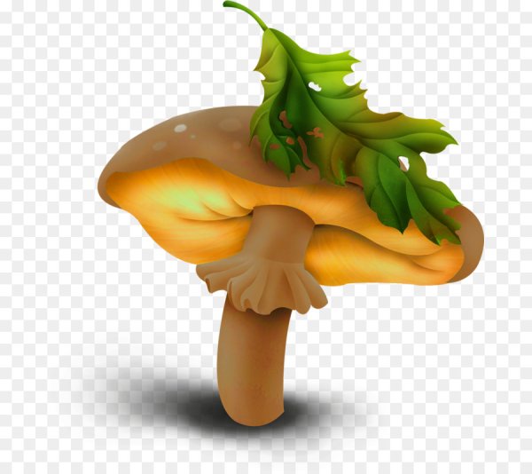 Векторные осенние грибы