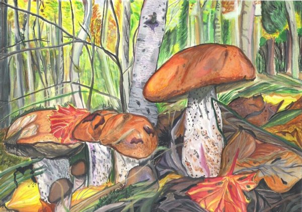 Рисование грибы в лесу