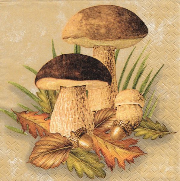 Грибы картина