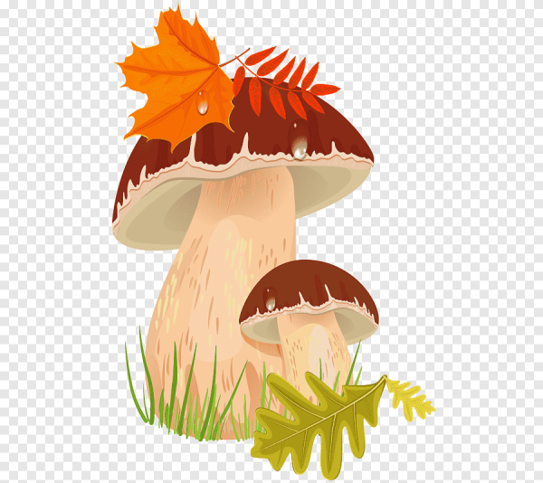 Осенний грибок