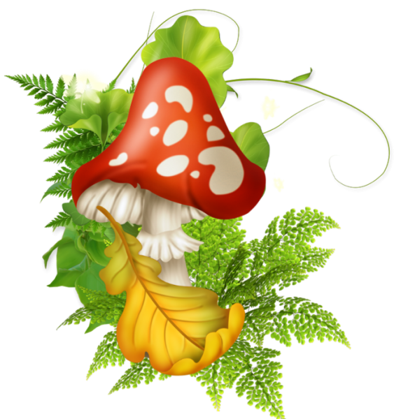 Сказочные грибочки