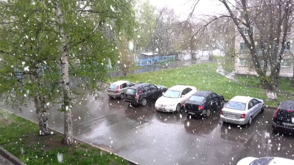 Снег летом в Москве