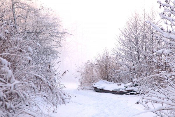 Много снег метель