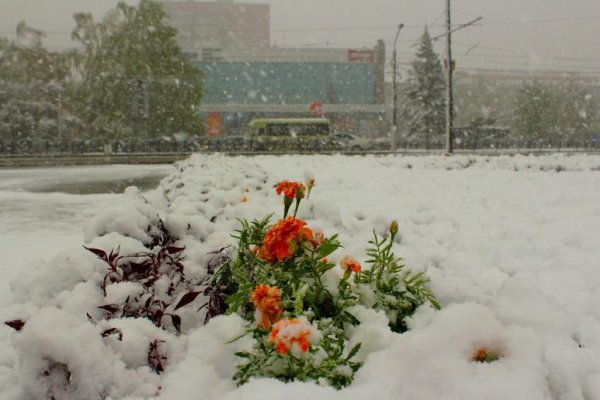 Снег летом