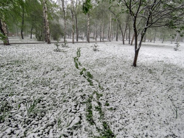 Снег летом