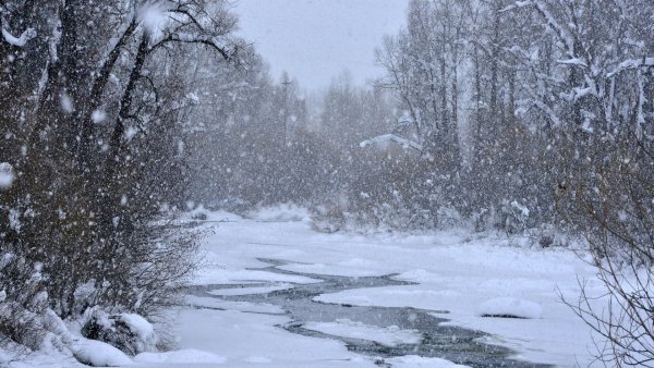 Природные явления снегопад