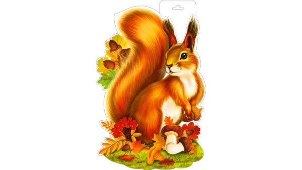 Белка для детского сада