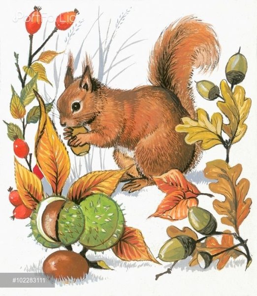 Осенние животные для детей