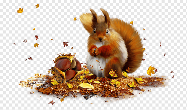 Осенние животные для детей