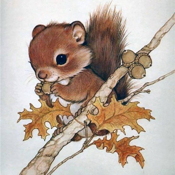 Иллюстрации животных