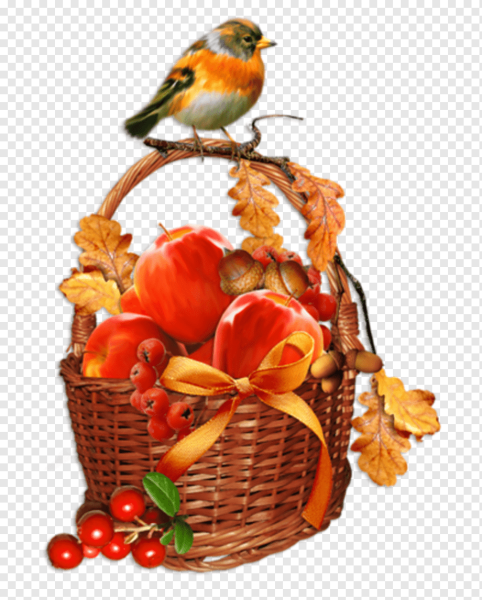 Белочка с корзинкой