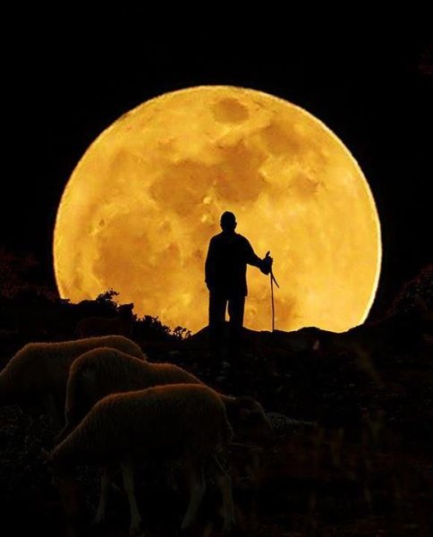 Лунный Странник