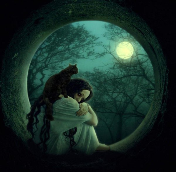 Сновидения мистика