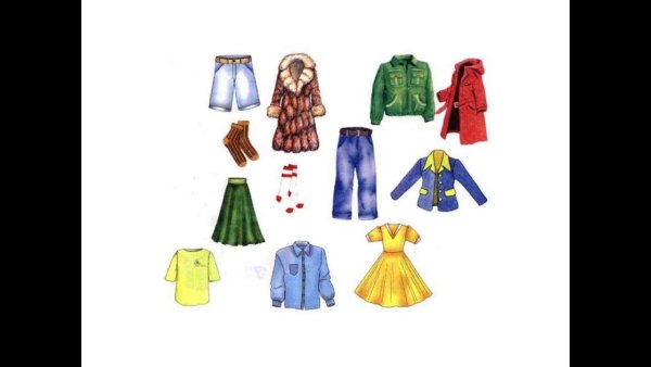 Окружающий мир одежда