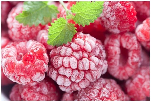 Шоковая заморозка малины