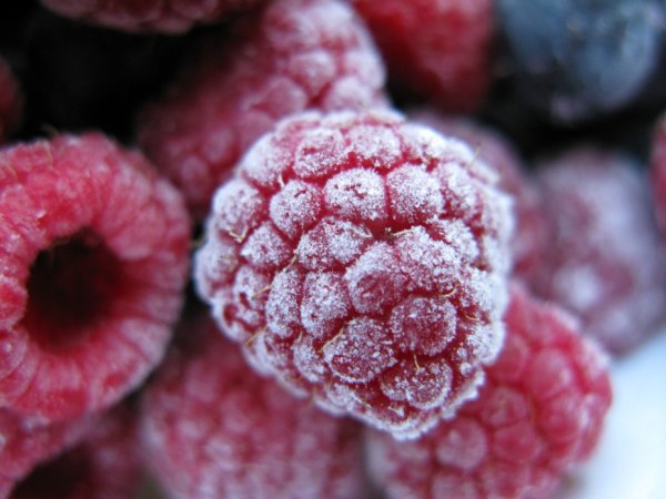 Налет на ягодах малины