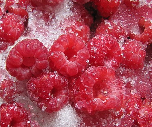 Малина в снегу