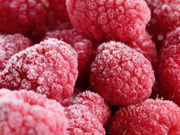 Шоковая заморозка малины