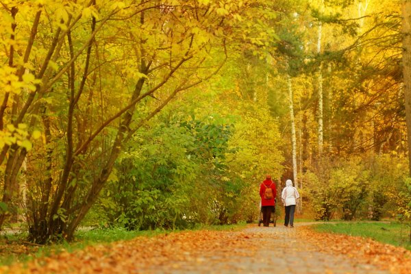 Прогулка в парке осенью