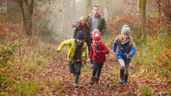 Прогулка в осеннем лесу