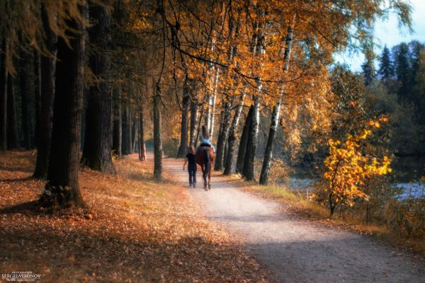 Прогулка в осеннем лесу
